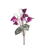 Cyclamen bush 28cm - Lila
