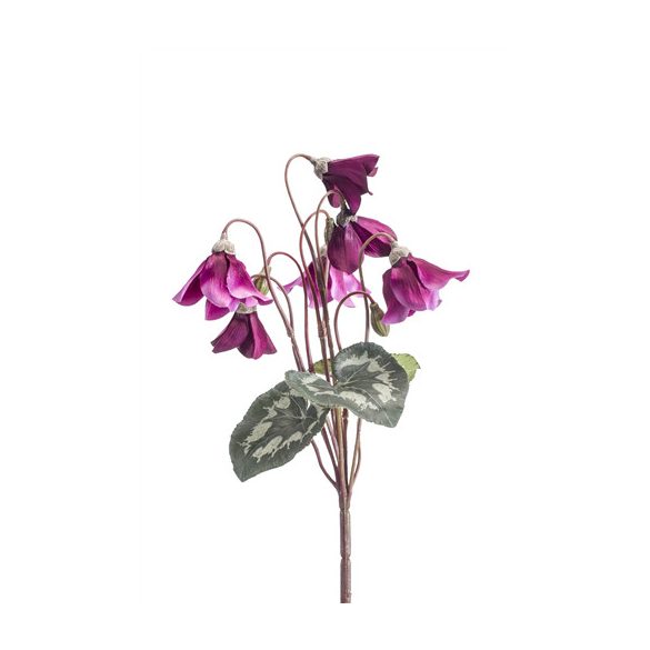 Cyclamen bush 28cm - Lila