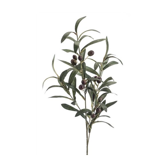 Oliva ág x4 75cm