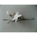 Magnolia pick havas 40cm fehér