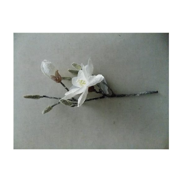 Magnolia pick havas 40cm fehér