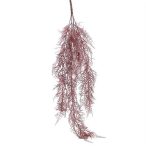 Asparágus 4 ágas 80 cm - Burgundi