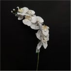 Phalaenopsis ág havas 70cm