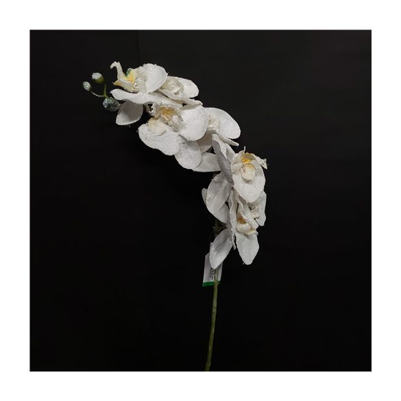 Phalaenopsis ág havas 70cm