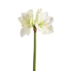 Amaryllis stem RT 67cm fehér/zöld