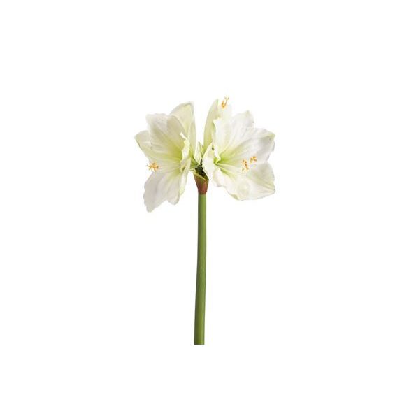 Amaryllis stem RT 67cm fehér/zöld