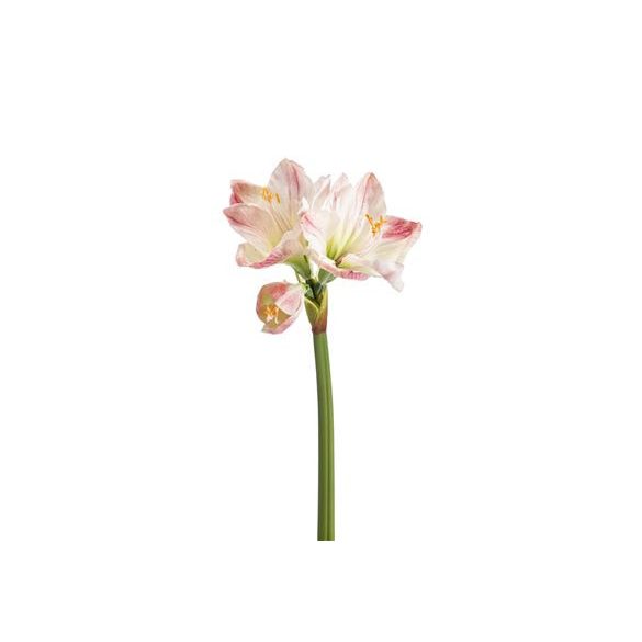 Amaryllis 67cm - Rózsaszín