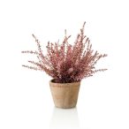 Erika bokor x9 35cm krém (11cm agyag kaspóban)