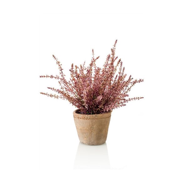 Erika bokor x9 35cm krém (11cm agyag kaspóban)