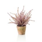 Erika bokor x9 35cm - Világos lila (11cm agyag kaspóban)