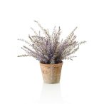 Erika bokor x9 35cm levendulalila (11cm agyag kaspóban)