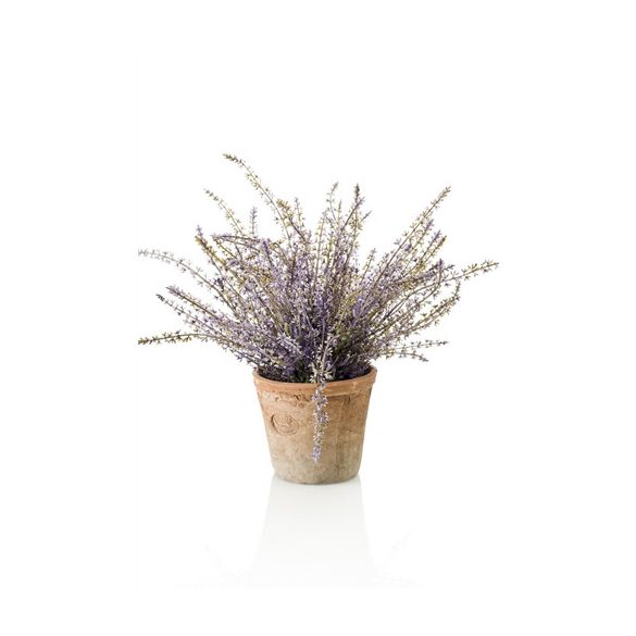 Erika bokor x9 35cm levendulalila (11cm agyag kaspóban)