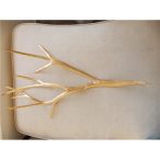 Aganypáfrány levél 60cm arany