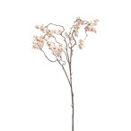 Bogyós ág 110 cm - Barack