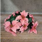 Poinsettia pick 18cm - Rózsaszín S/12