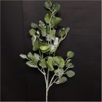 Eukaliptusz ág jeges 80cm