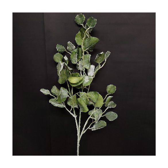 Eukaliptusz ág jeges 80cm