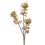 Sedum ág x3 66cm - Világos rózsaszín