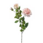 Rózsa eva ág x2 84cm világos rózsaszín