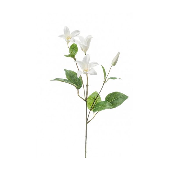 Clematis ág 53cm - Krém