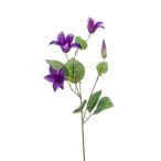 Clematis ág 53cm - Lila