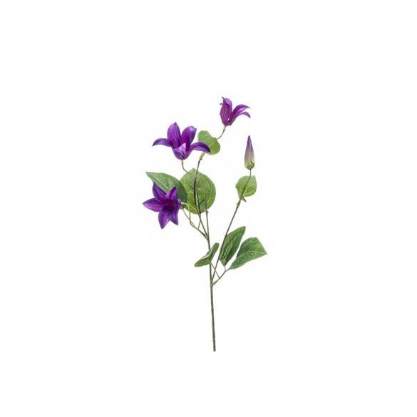 Clematis ág 53cm - Lila