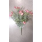 Lángvirág bokor x7 35cm - Fukszia