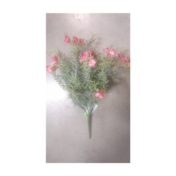 Lángvirág bokor x7 35cm - Fukszia