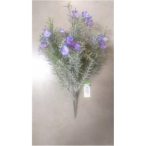 Lángvirág bokor x7 35 cm - Lila