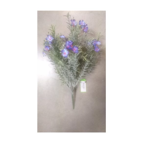 Lángvirág bokor x7 35 cm - Lila