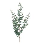 Eucalyptus spray 115cm - Zöld/szürke