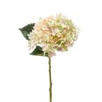 Hortenzia annabelle ág 52cm világos lila