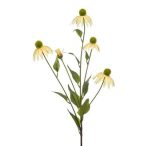 Echinacea szál 90cm sárga