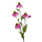 Echinacea szál 90cm hot rózsaszín