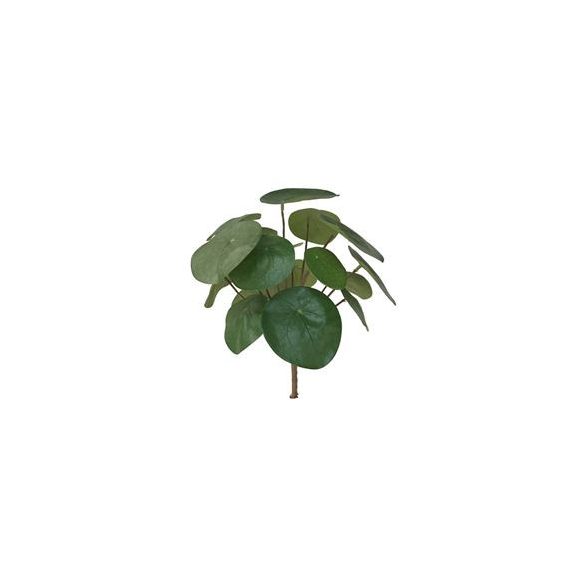 Pilea bush 22cm/17lvs