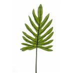 Philodendron levél L 100cm