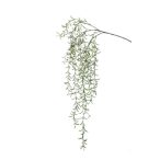 Hoya lógó ág 120cm