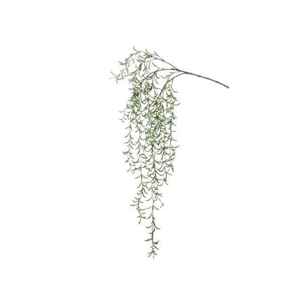 Hoya lógó ág 120cm