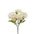 Hortenzia Bokor x5 54cm krém/rózsaszín