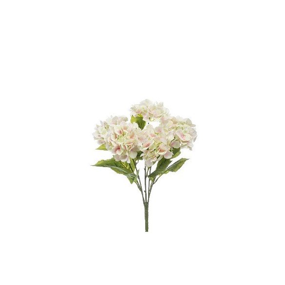 Hortenzia Bokor x5 54cm krém/rózsaszín