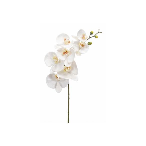 Phalaenopsis szál RT 83cm - Fehér