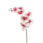 Phalaenopsis ág RT 83cm rózsaszín/fehér
