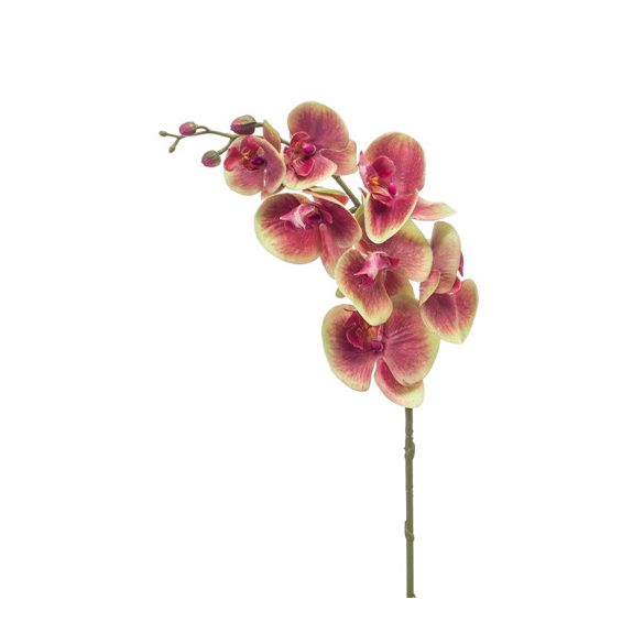 Phalaenopsis ág RT 83cm fukszia/zöld