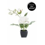 Rózsa x2 25cm - Krém (fekete cserépben)