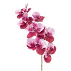 Vanda orchidea spray 98cm - Piros/rózsaszín