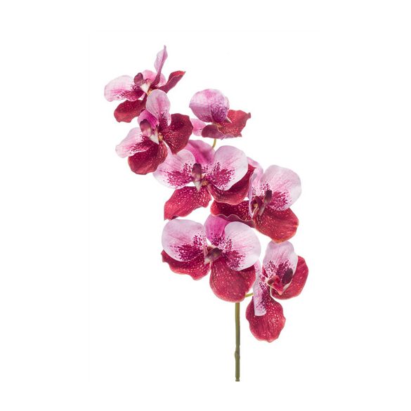 Vanda orchidea spray 98cm - Piros/rózsaszín