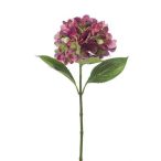 Hydrangea stem 67cm - Lila/zöld