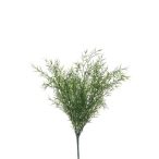 Asparagus sprengeri Bokor x9 40cm zöld