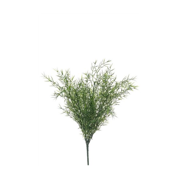 Asparagus sprengeri Bokor x9 40cm zöld