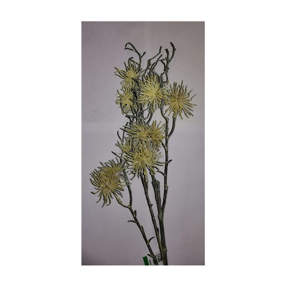 Urchin ág 70cm - Krém
